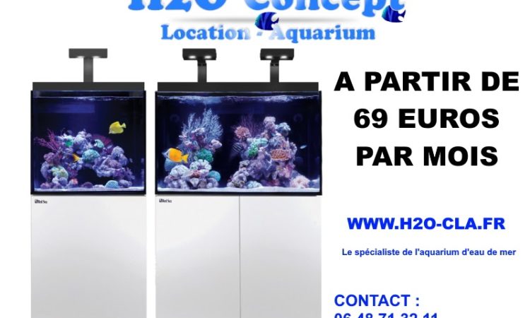 Aquarium, location, vente et entretien 5