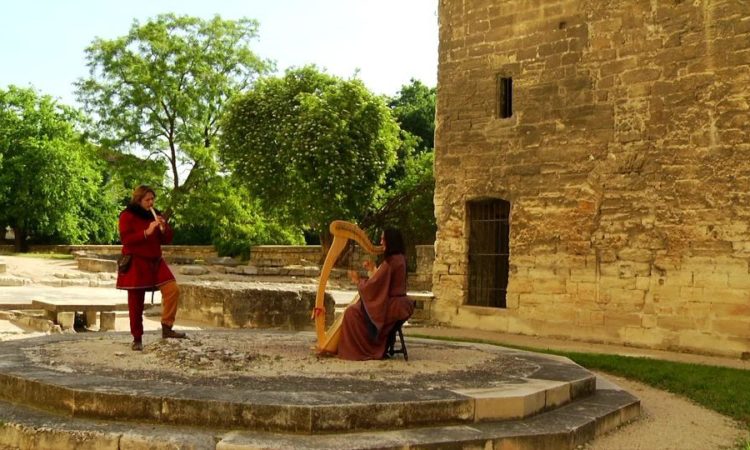 Concert de Harpe Celtique, solo ou duo 2