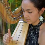 Concert de Harpe Celtique, solo ou duo 1