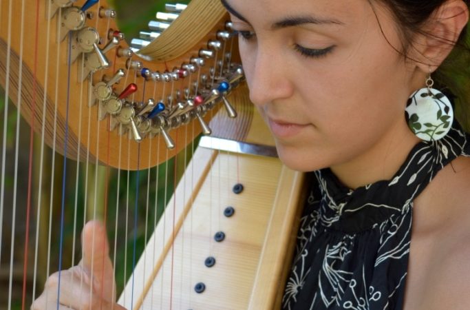 Concert de Harpe Celtique, solo ou duo 1