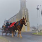 Animations autour du cheval, calèche, visite 2