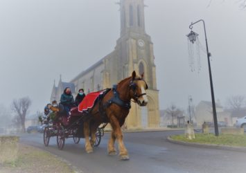 Animations autour du cheval, calèche, visite 2