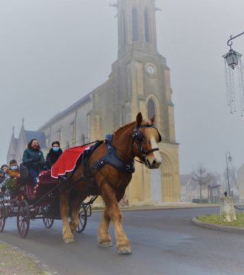 Animations autour du cheval, calèche, visite 2