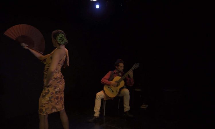 Concert guitare, danse, projection