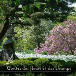 Lecture, Contes et récits des fleurs et des champs