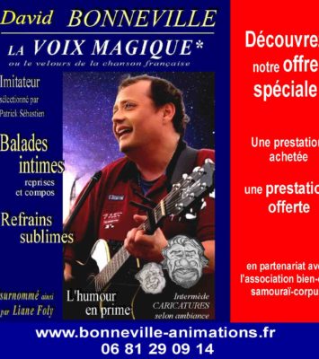 Concert, humour et zen, David Bonneville