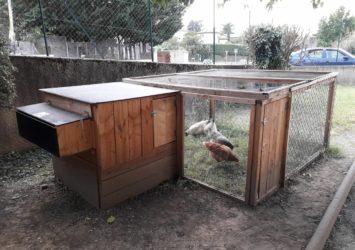 (69) Location de poules et de poulaillers écologiques et ludiques en EHPAD et maison de retraite