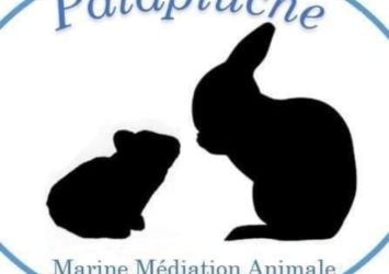 Patapluche Marine Médiation Animale 4