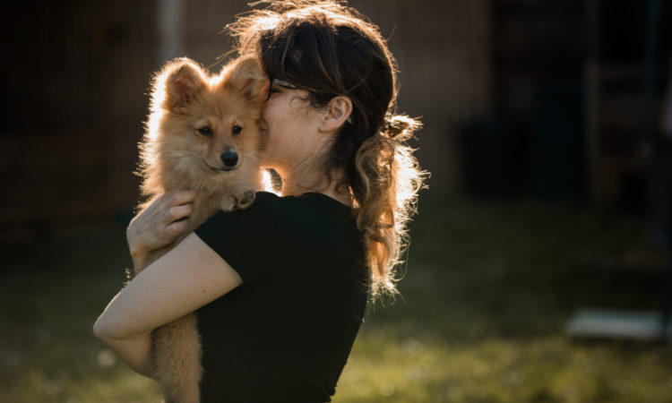 L’empreinte des émotions, Médiation par l'animal 1