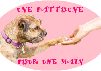 Une Pattoune pour une Main, médiation Animale 6