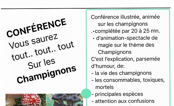 Animation Conférence, Spectacle sur les champignons