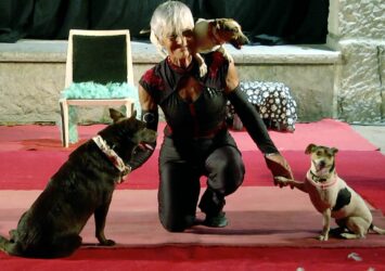 Doggies Comedy, spectacle canin burlesque interactif