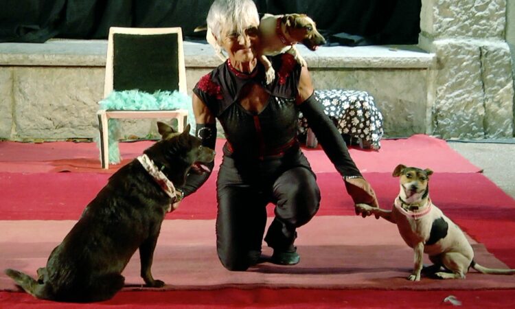 Doggies Comedy, spectacle canin burlesque interactif