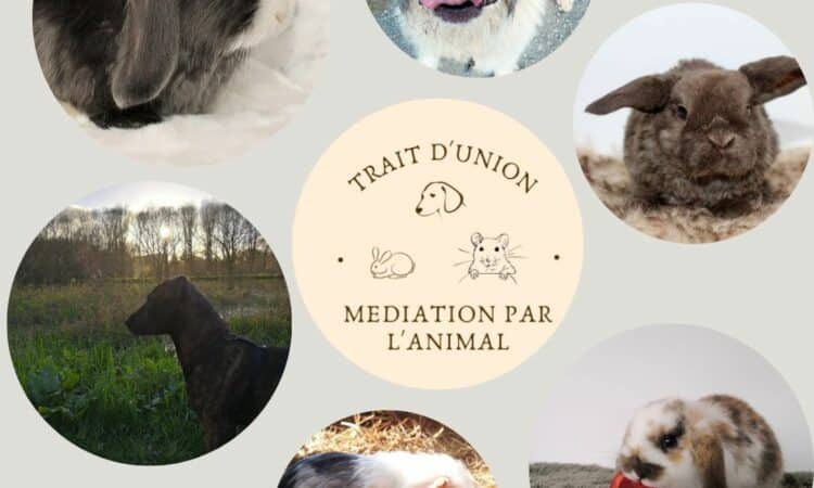 Médiation par l'animal, Trait d'Union 4