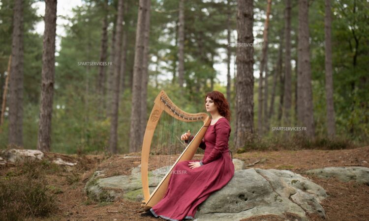 Concert, Voyage en Terres Celtes, Harpe & Chant 4