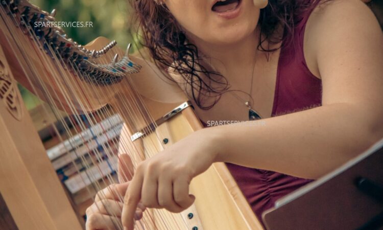 Concert, Voyage en Terres Celtes, Harpe & Chant 1