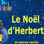 Le Noël d'Herbert, conte et musique, Cie. La Lusciniole 3