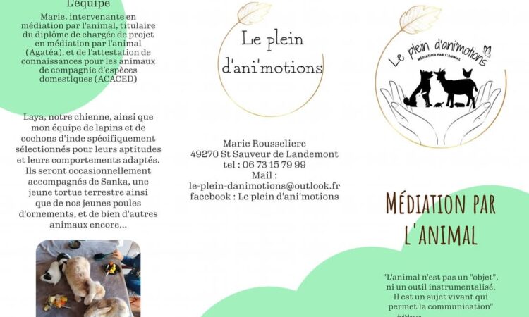 Le plein d’ani'motions - Mediation animale 1