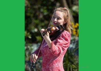 Violoniste culture pop 6
