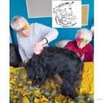 La Médiation animale au service du mieux être 3