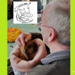 La Médiation animale au service du mieux être 2