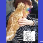 La Médiation animale au service du mieux être 1
