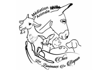 La Médiation animale au service du mieux être 6