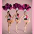 Spectacle danseuses revue cabaret, Sparkles Cie 2
